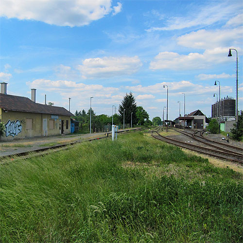 sample-image